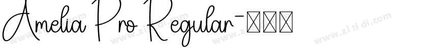 Amelia Pro Regular字体转换
